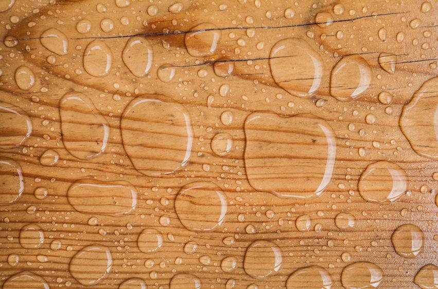 waterproof wood watch
