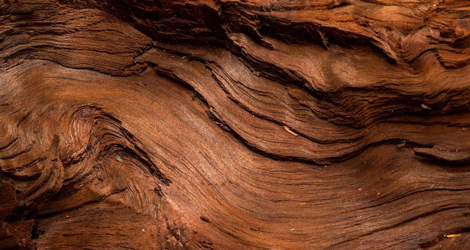 SANDAL WOOD